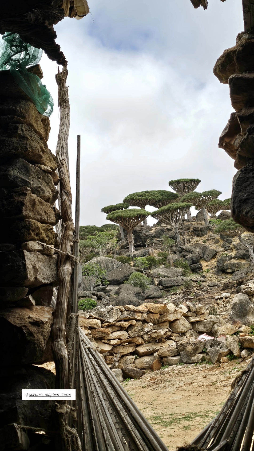 Visitors exploring Socotra with Socotra Magical Tours